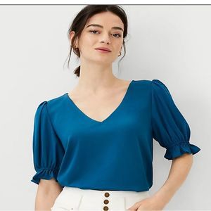 Ann Taylor Puff sleeve V Neck Blue Blouse size XXL NWT